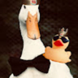 Meet your Posher, Duckduckgoose